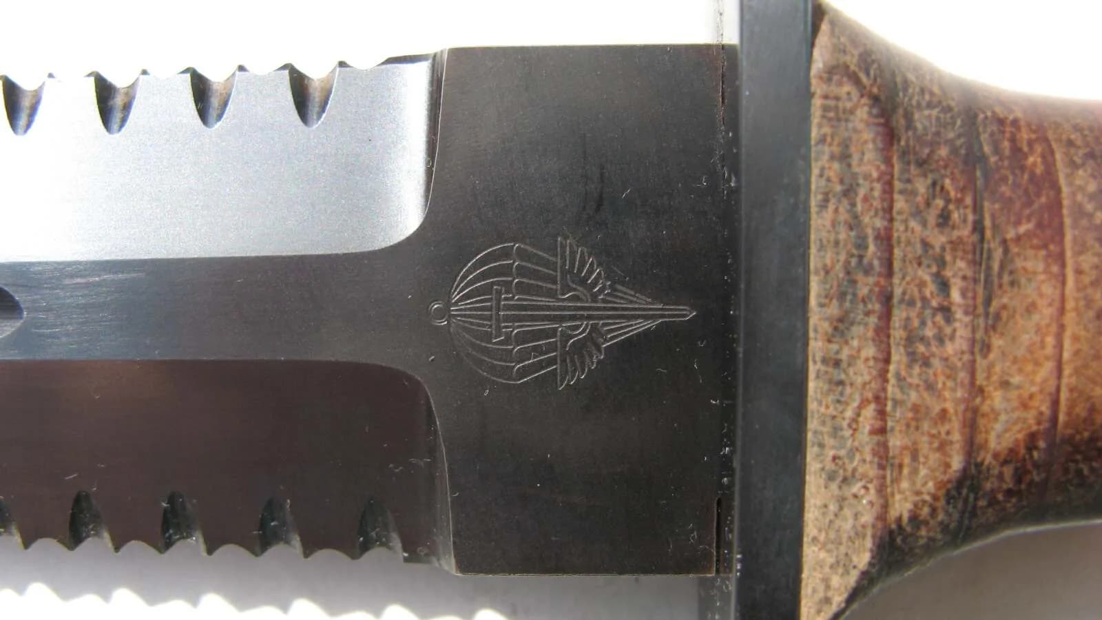 LUPUS – pohled č. 6