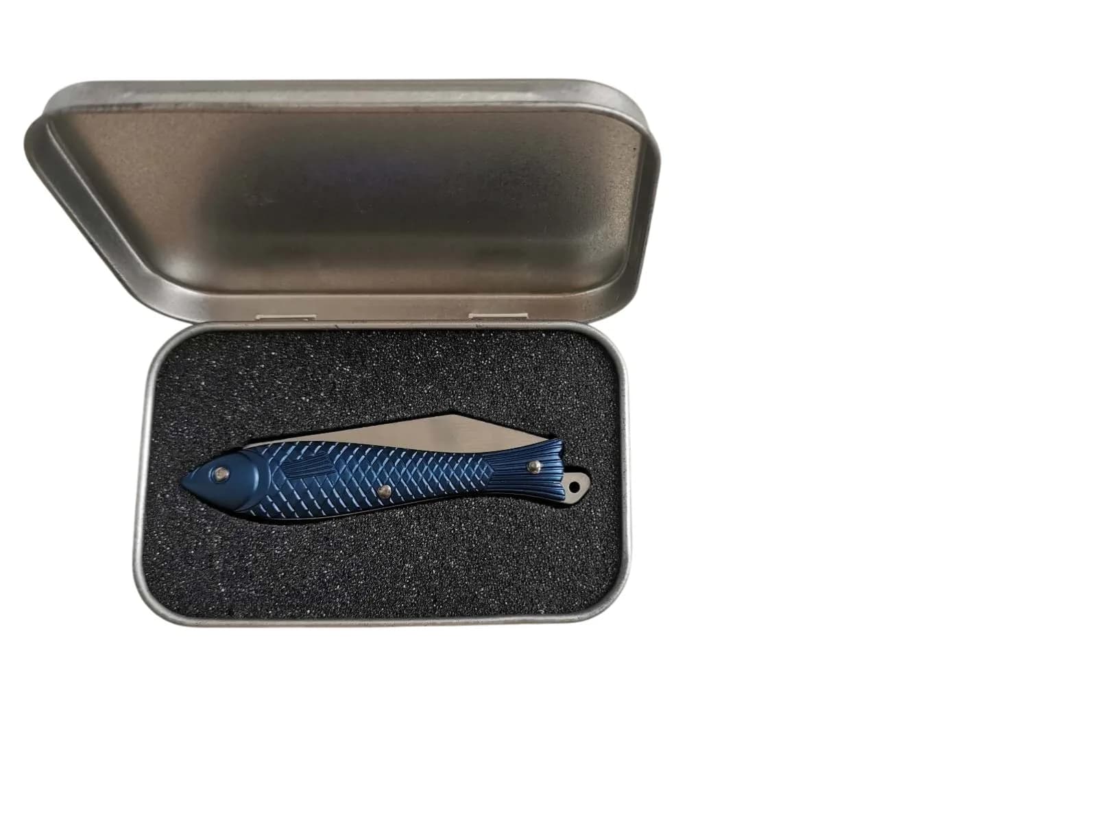 Rybička modrá – 2009