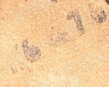 Značení pochev UTON vz.75 – foto 1