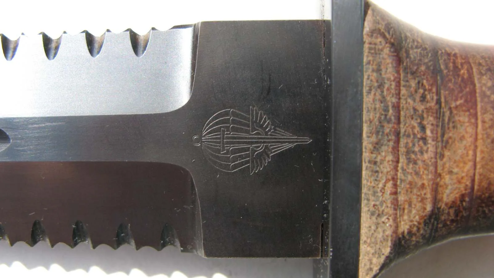 LUPUS – pohled č. 6