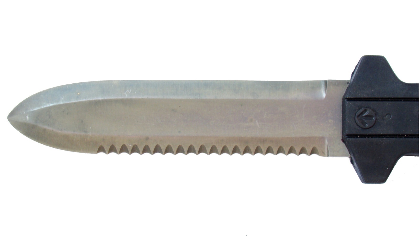 Počet zubů – 19 zubů